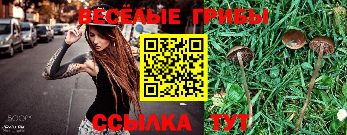 Калуга  Галлюциногенные грибы Cubensis  Вход с VPN 